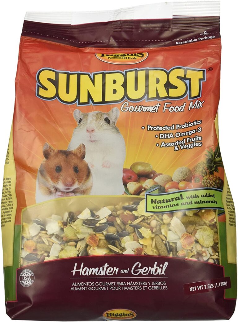 Best Hamster Food Guide