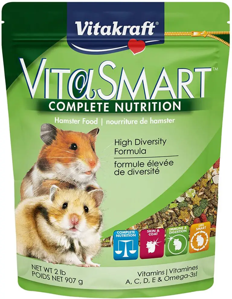 Best Hamster Food - Guide