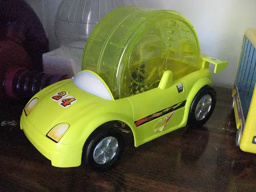 hamster toy on wheels