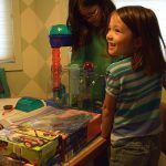 Preparing a Hamster Cage