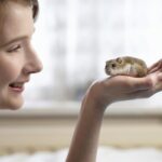 How to train a hamster - Welcome Home New Hamster - How to find if Hamster is Lost