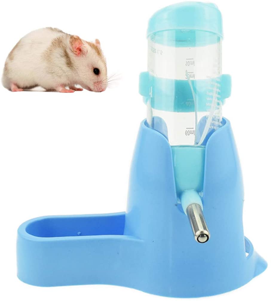 Best Hamster Water Bottle for Dwarf and Syrian Hamsters