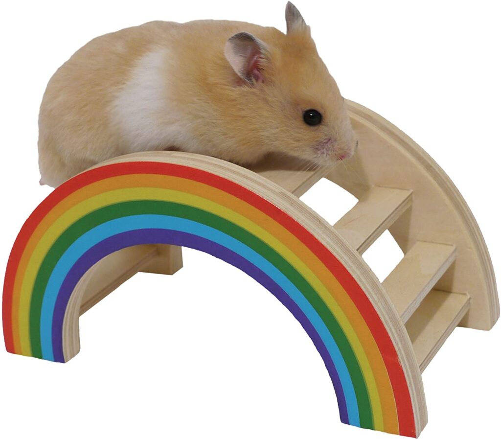 Best Toys and Accessories for Hamsters