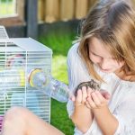 Best Syrian Hamster Cage