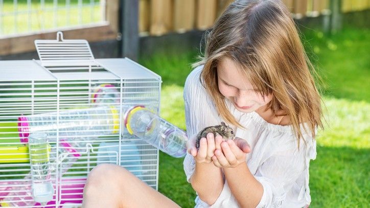 Best Syrian Hamster Cage
