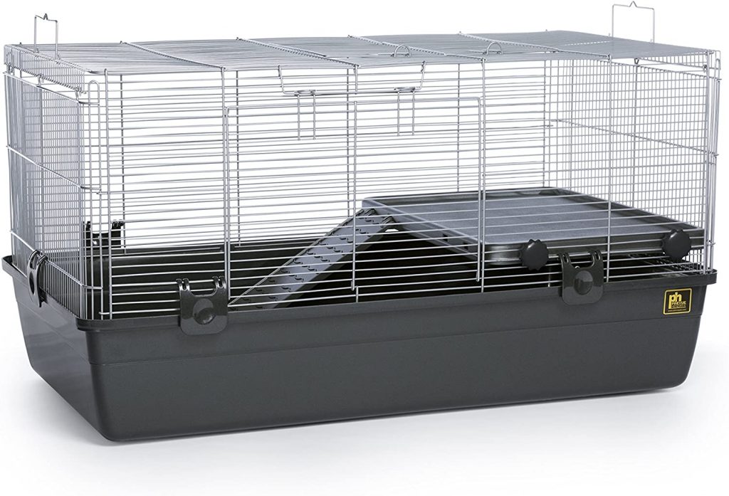 Best Syrian Hamster Cage