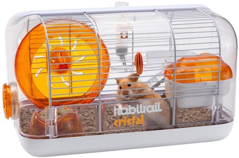 Best Syrian Hamster Cage